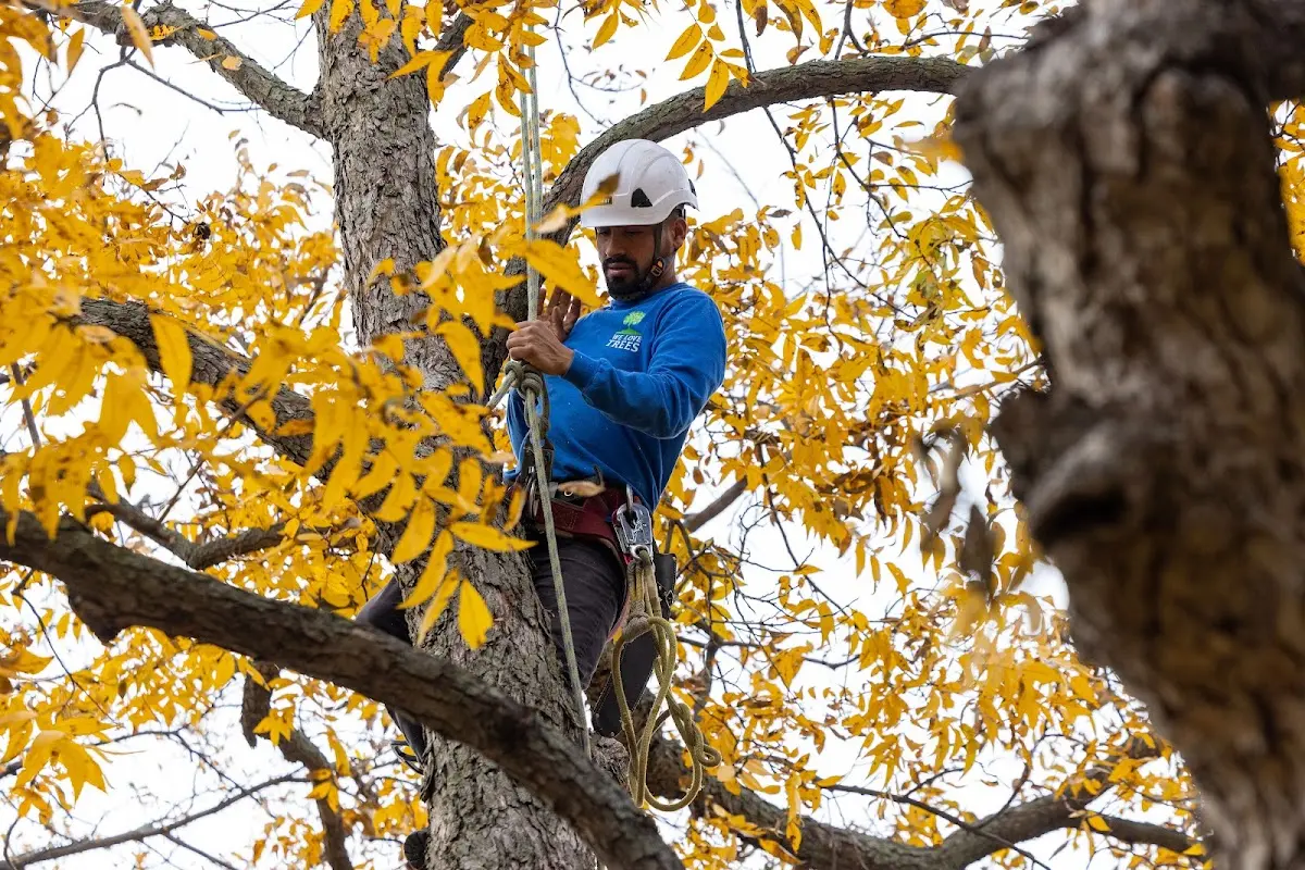 Skilled Storm Damage Cleanup crew working in Hudson